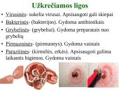 Organizmo apsauga nuo žalingo aplinkos poveikio. Antibiotikai 4 puslapis