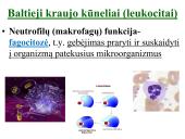 Organizmo apsauga nuo žalingo aplinkos poveikio. Antibiotikai 10 puslapis