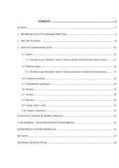 Individualaus gyvenamojo namo statybos projektas 2 puslapis