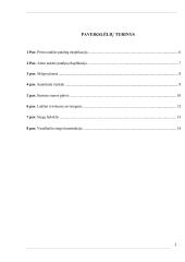 Individualaus gyvenamojo namo statybos projektas 3 puslapis