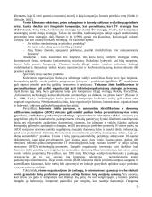 Žinių vadybos strategijos: daugelio atvejų studija 5 puslapis