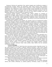 Žinių vadybos strategijos: daugelio atvejų studija 8 puslapis