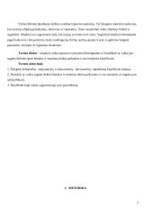 Vaizdinio mąstymo tyrimas. Raidos psichologija 2 puslapis