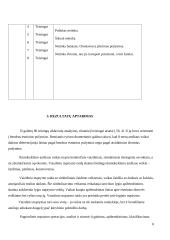 Vaizdinio mąstymo tyrimas. Raidos psichologija 8 puslapis