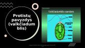 Penkios gyvosios gamtos karalystės (skaidrės) 9 puslapis