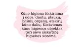 Skaidrės apie higieną 5 puslapis