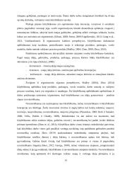 Kūrybiškumo raiška karinėse organizacijose: Lietuvos kariuomenės sausumos pajėgų atvejis  12 puslapis