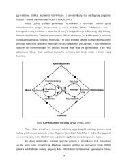 Kūrybiškumo raiška karinėse organizacijose: Lietuvos kariuomenės sausumos pajėgų atvejis  13 puslapis