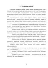 Kūrybiškumo raiška karinėse organizacijose: Lietuvos kariuomenės sausumos pajėgų atvejis  17 puslapis