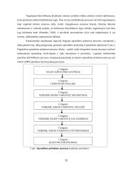 Kūrybiškumo raiška karinėse organizacijose: Lietuvos kariuomenės sausumos pajėgų atvejis  19 puslapis