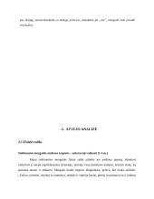 Stebėjimas ir atvejo analizė 5 puslapis