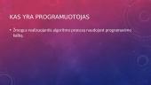 Kas yra programuotojas 2 puslapis