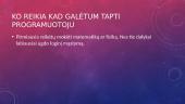 Kas yra programuotojas 3 puslapis