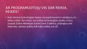 Kas yra programuotojas 4 puslapis