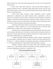 Prekės ženklo samprata ir funkcijos 11 puslapis