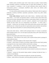 Prekės ženklo samprata ir funkcijos 3 puslapis