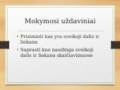 Sveikųjų skaičių dalyba 3 puslapis