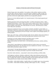 Advokato kalba 2 puslapis