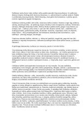 Advokato kalba 3 puslapis