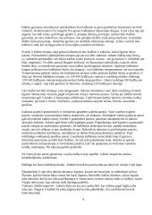 Advokato kalba 4 puslapis