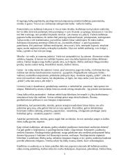 Advokato kalba 5 puslapis