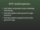 Ekonomika. BVP 13 puslapis