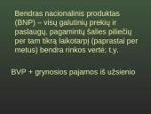 Ekonomika. BVP 4 puslapis