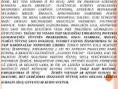 Pastraipos sandara 11 puslapis