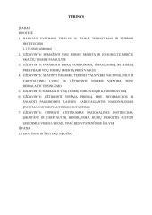 Kur link juda pasaulis? 2 puslapis