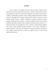 Kur link juda pasaulis? 3 puslapis