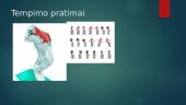 Laiptinis raumuo: priekinis vidurinis, užpakalinis (scalenius) 7 puslapis