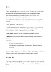 Gyventojų migracija Lietuvoje. Statistinis tyrimas 2 puslapis