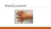 Mutacijų įvairovė