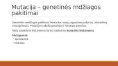 Mutacijų įvairovė 2 puslapis