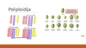 Mutacijų įvairovė 13 puslapis