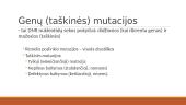 Mutacijų įvairovė 4 puslapis