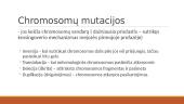 Mutacijų įvairovė 6 puslapis