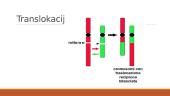 Mutacijų įvairovė 8 puslapis