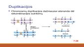 Mutacijų įvairovė 10 puslapis