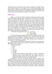 Ajurvedos kursas 2 puslapis