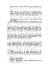 Ajurvedos kursas 14 puslapis