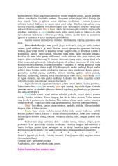 Ajurvedos kursas 19 puslapis