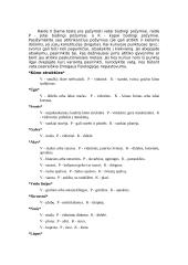 Ajurvedos kursas 20 puslapis