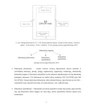 Kauno raj. savivaldybės dokumentų valdymas 7 puslapis