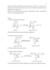 Angliavandeniai (karbohidratai, sacharidai) 13 puslapis