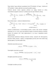 Angliavandeniai (karbohidratai, sacharidai) 16 puslapis