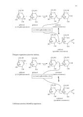 Angliavandeniai (karbohidratai, sacharidai) 18 puslapis