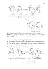 Angliavandeniai (karbohidratai, sacharidai) 19 puslapis