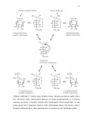 Angliavandeniai (karbohidratai, sacharidai) 4 puslapis