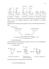 Angliavandeniai (karbohidratai, sacharidai) 6 puslapis